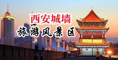 直接后入www超级污免费看网站中国陕西-西安城墙旅游风景区